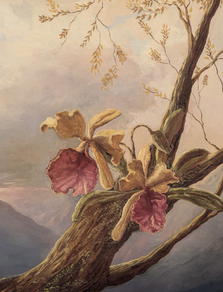 Galería M&S.
Quito, Ecuador.
Galería Latin Art. Bochum,
Alemania.