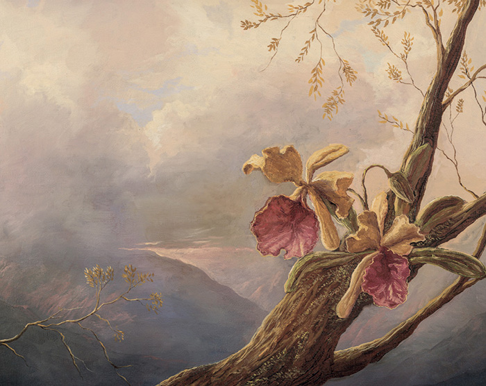 Orquídeas
amarillas